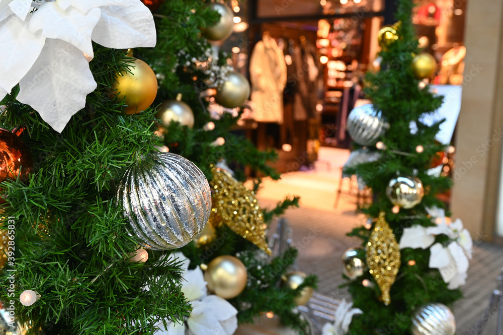 冬の東京のクリスマスツリーと丸の内のお洒落な街並みの風景 冬の東京のクリスマスツリーと丸の内のお洒落な街並みの風景