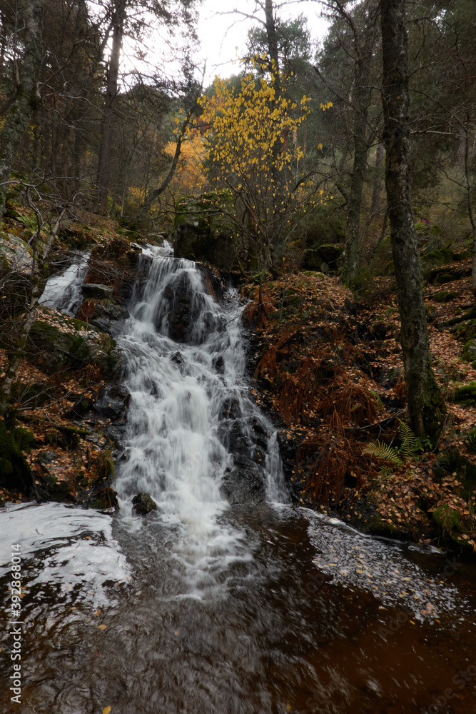 Small waterfalls in the bed of the Sestil de Maíllo stream. Autumn in the Sierra de Guadarrama National Park. Madrid's community. Spain Small waterfalls in the bed of the Sestil de Maíllo stream. Autumn in the Sierra de Guadarrama National Park. Madrid's community. Spain