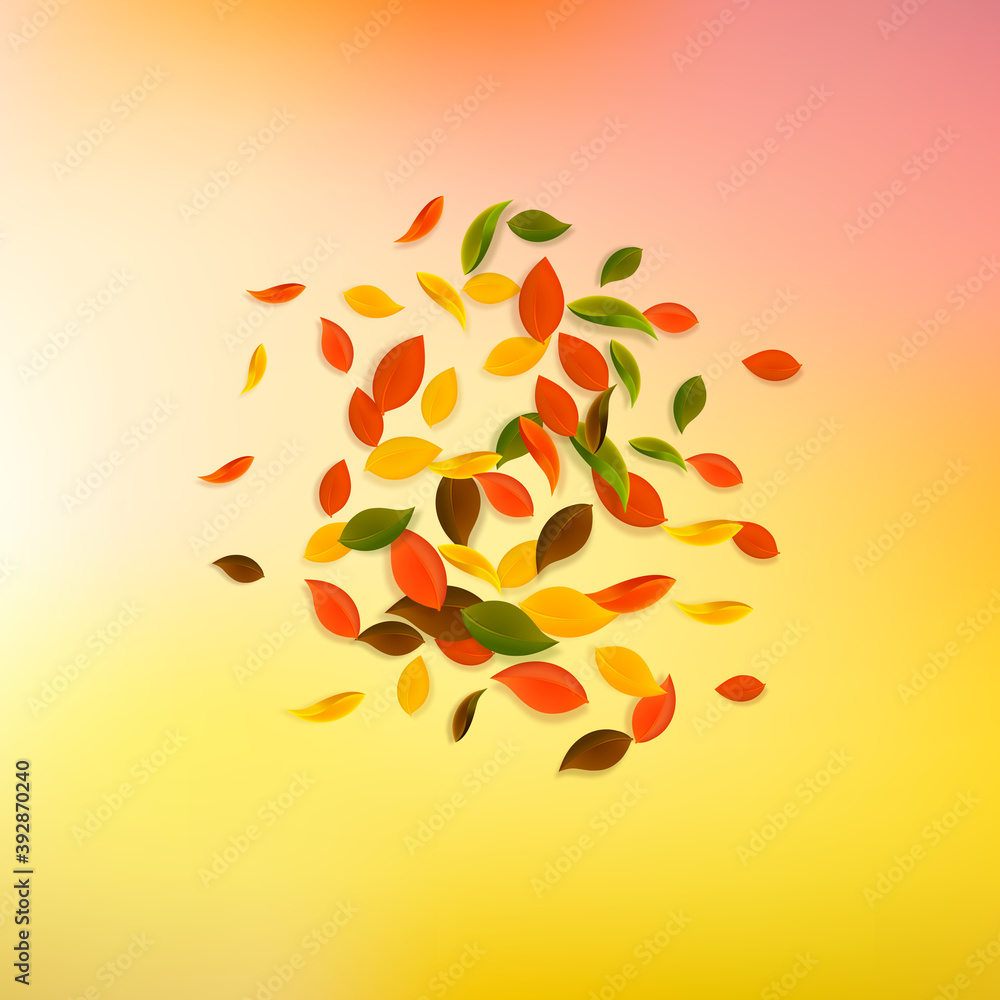 Falling autumn leaves. Red, yellow, green, brown c Falling autumn leaves. Red, yellow, green, brown c