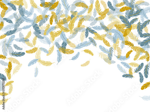 Falling feather elements soft vector design.