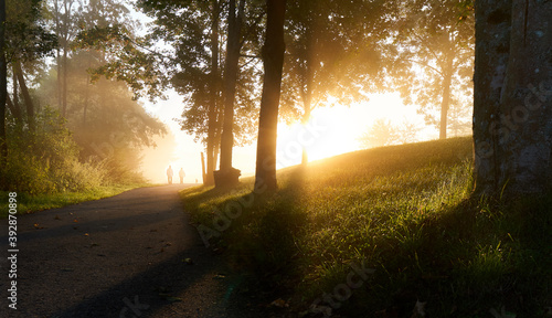 Fotografie morning stroll in golden light