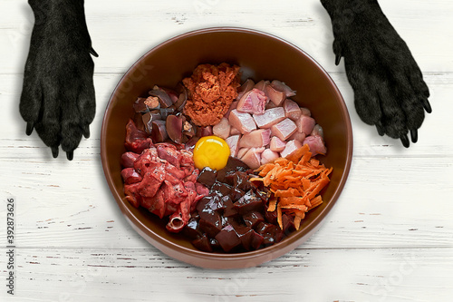 Konstfotografi Dog food