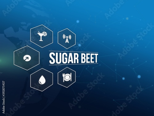 sugar beet