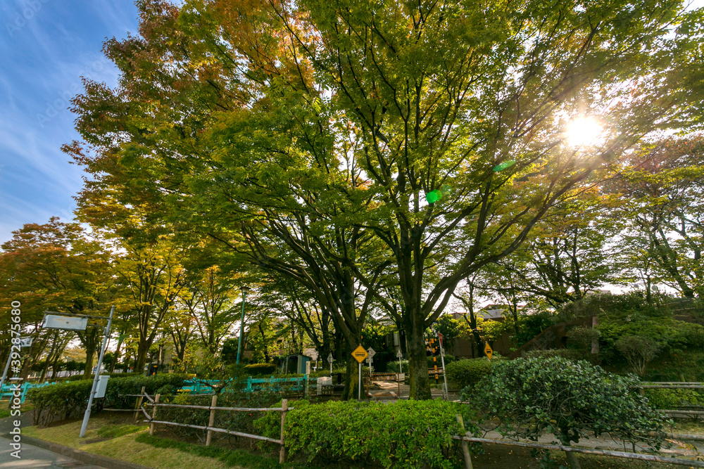 新宿交通公園(東京都葛飾区新宿) 新宿交通公園(東京都葛飾区新宿)