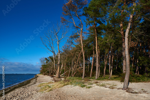 Palmer Ort auf Rügen