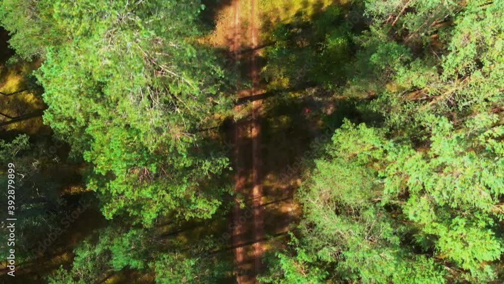 there is a pathway in the middle of the forest, drone shot topdown, camera pans in front there is a pathway in the middle of the forest, drone shot topdown, camera pans in front