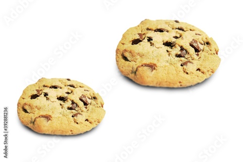chocolate chip cookies isolated on white background illustrator material. Abstract 2 cookies on white background