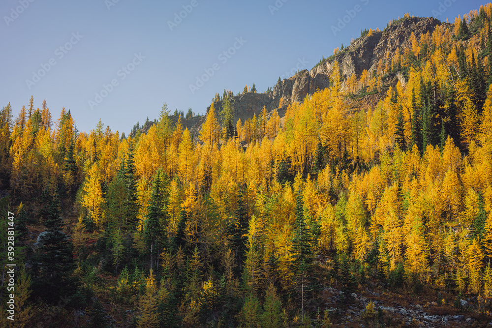 Pasayten Wilderness in Fall