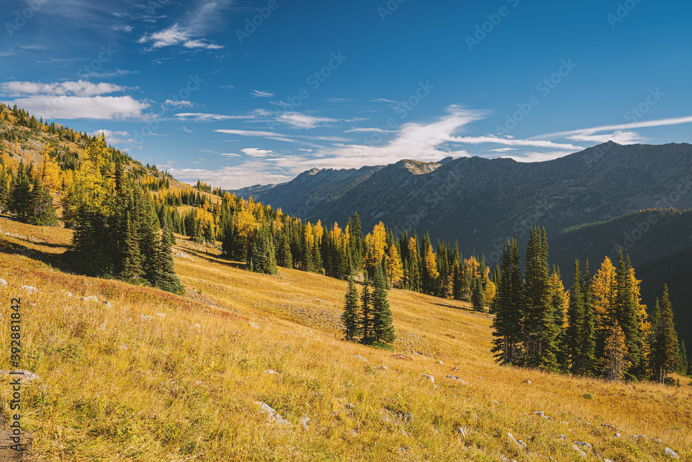 Obraz premium Pasayten Wilderness in Fall