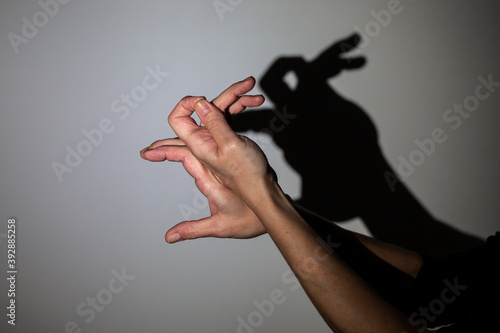 play shadow projected against a white background, rabbit