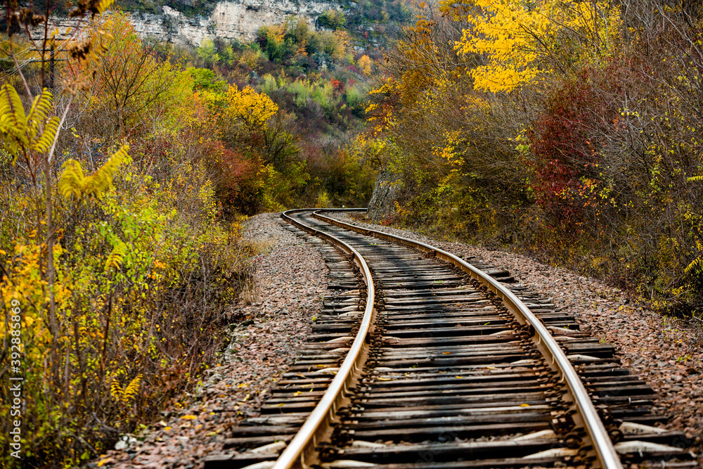 Obraz premium Russian Straight Railway with trees. Landscape with railroad, summer time traveling, freedom of movement.