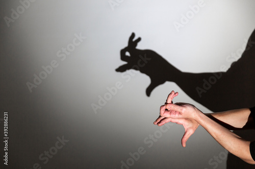 play shadow projected against a white background. a rabbit.