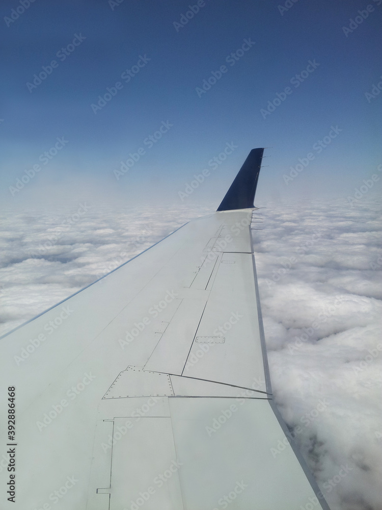 Wing of airplane Wing of airplane