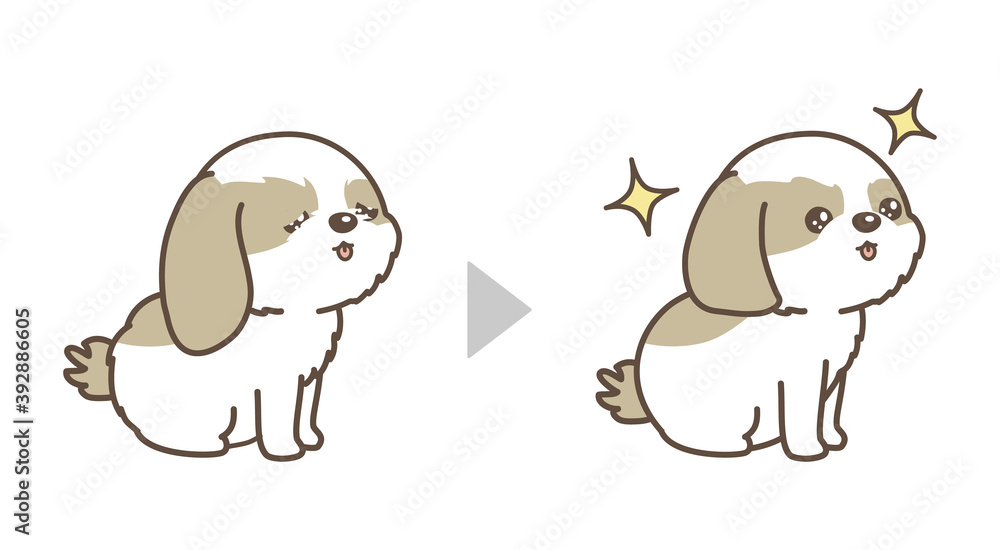 犬のトリミング ビフォアアフター シーズー Stock Vector Adobe Stock