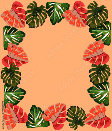 vector illustration of tropical leaves frame