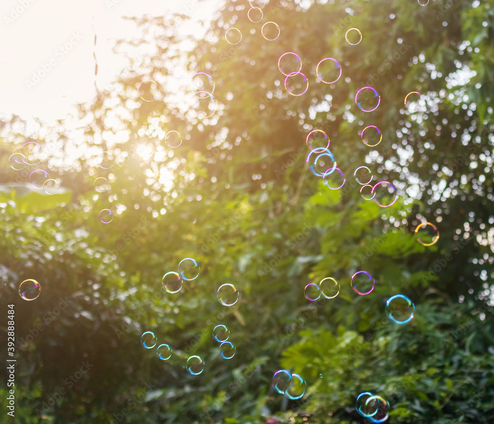 Many large bubbles floating up to the sky. Trees are visible in the background
