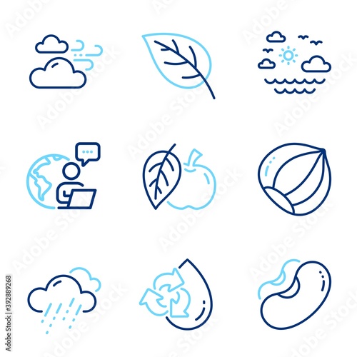 Nature icons set. Included icon as Rainy weather, Travel sea, Beans signs. Windy weather, Recycle water, Leaf symbols. Hazelnut, Apple line icons. Rain, Summer holidays. Line icons set. Vector