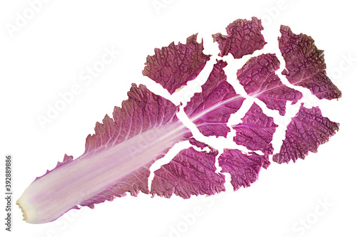 Violet chinese cabbage on white