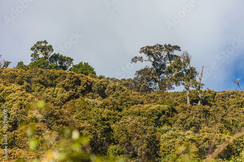Costa Rica beautiful nature