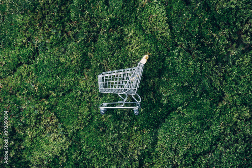 Fotografia, Obraz Shopping cart on green grass, moss background