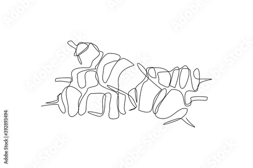 continuous line drawing of turkish kebab. One line art concept of turkey food. Vector illustration