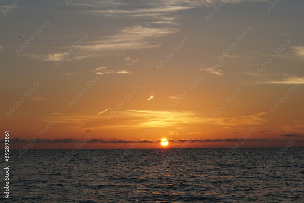 Celestún, Yucatán, mexico, flamingos, sunset, sea, gulf of mexico, laguna, sun, water, mangroves, sky, trees Celestún, Yucatán, mexico, flamingos, sunset, sea, gulf of mexico, laguna, sun, water, mangroves, sky, trees