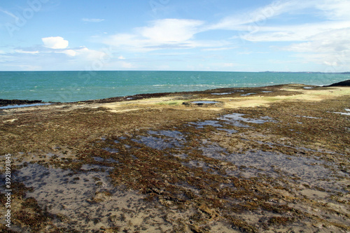 Pedra Oca beach  N  sia Floresta  Rio Grande do Norte  Brazil