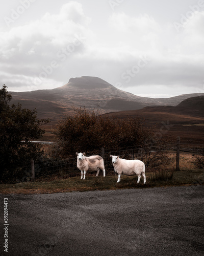 Neist point lighthouse scotland highlands isle of skye nature photography 