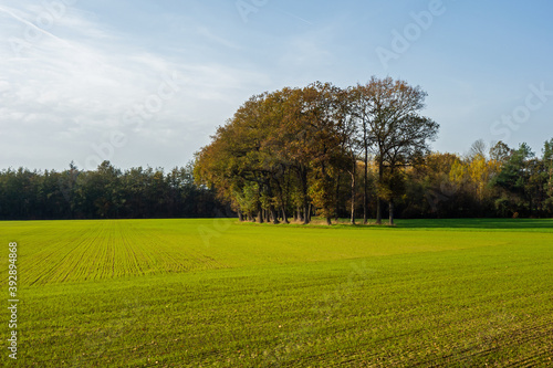 Rural landscape in autumn colors near Winterswijk, Netherlands  © Gert-Jan van Vliet