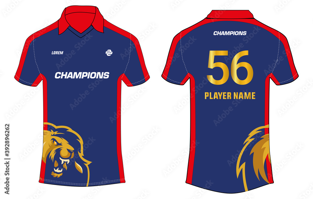 Sports t-shirt jersey design vector template, sports jersey with front and  back view for Soccer, Cricket, Football. PSL - Pakistan Super League Jersey  Concept. Karachi Kings Jersey design Concept Stock Vector