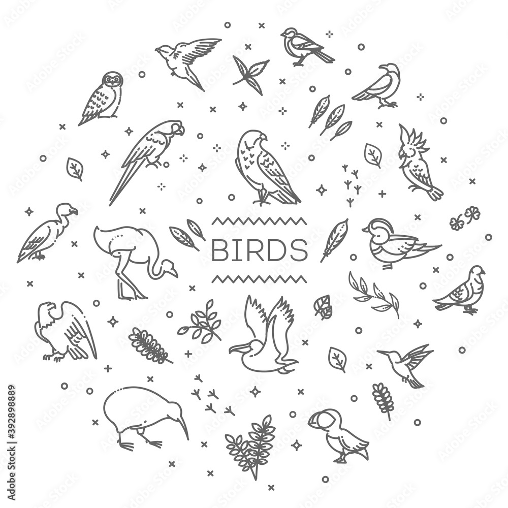 Set of different birds. Vector line icons Set of different birds. Vector line icons