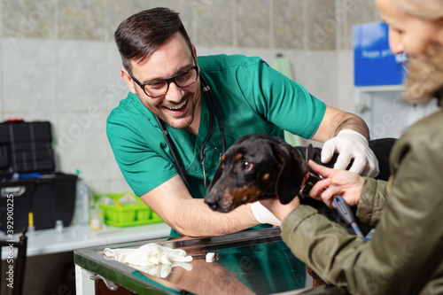 Dog at the vet clinic. Veterinarian and dog at veterinary clinic.