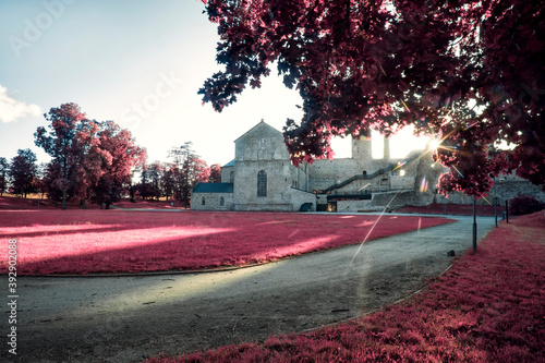 fantasy view of medieval casle in Estonia photo