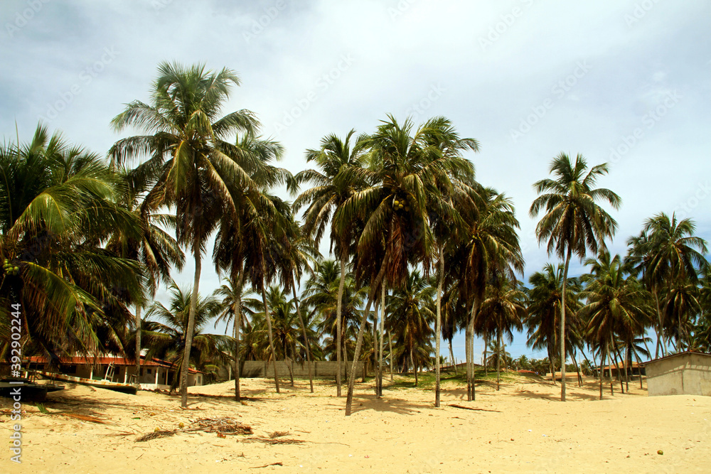 Zumbi beach, Rio do Fogo, Rio Grande do Norte, Brazil