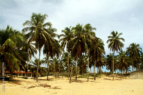 Zumbi beach, Rio do Fogo, Rio Grande do Norte, Brazil