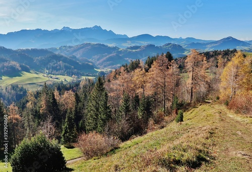 Herbstlandschaft vor Gebirgskulisse, Ostschweiz 