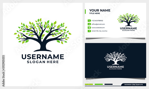 Tree of life logo design, nature tree illustration with business card template