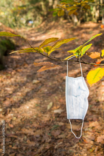 disposable protective mask on the tree branch with autumn road in the background, concept of beginning in autumn.