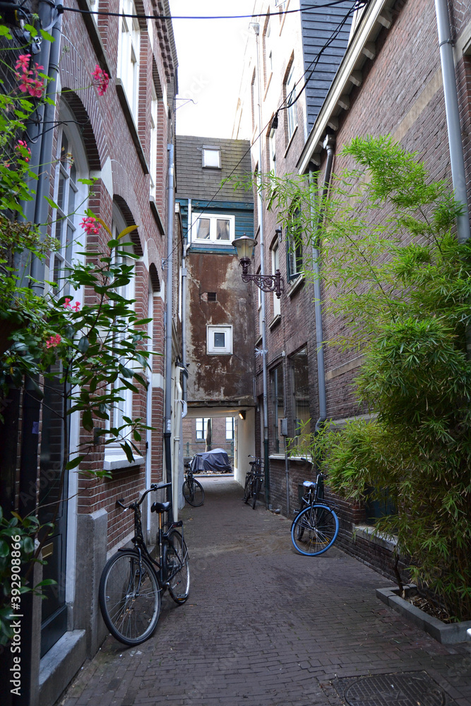 Fototapeta premium Cozy empty street in Amsterdam city, The Netherlands. Vertical view