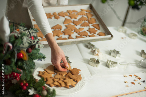 Woman in apron holding baking sheet, tray with Christmas ginger cookies. photo