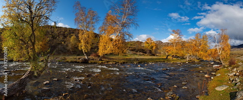 Russia. South Of Western Siberia. Mountain Altai. Early autumn morning on the coast of the Big Ilgumen river near the village of Kupchegen. photo