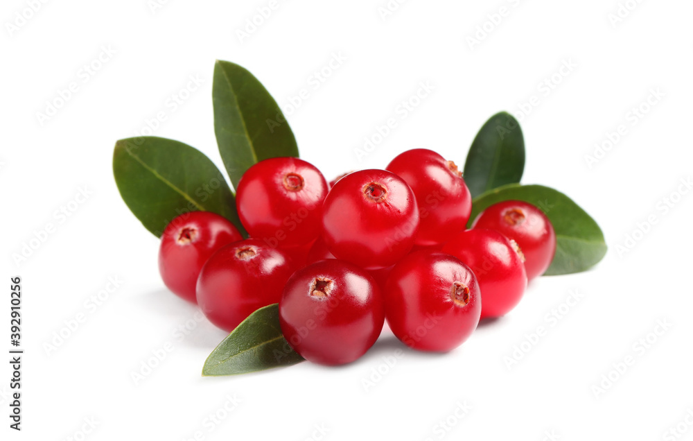 Obraz premium Pile of fresh cranberries with green leaves on white background