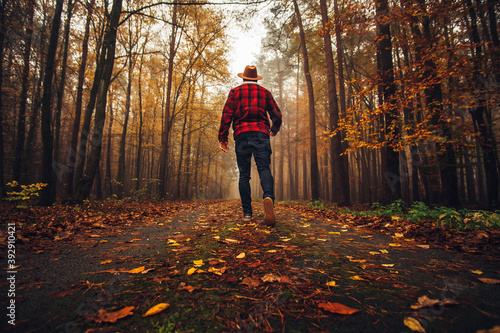 person walking in the autumn forest