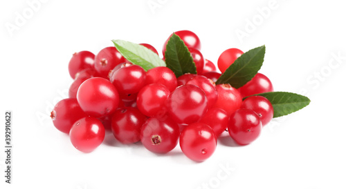 Pile of fresh ripe cranberries with leaves on white background