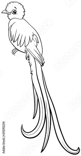 cartoon quetzal bird comic animal character coloring book page