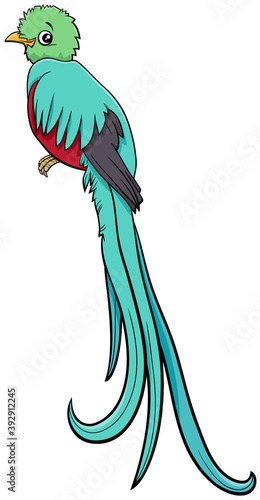 cartoon quetzal bird comic animal character