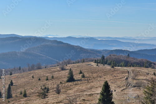 Fototapeta Naklejka Na Ścianę i Meble -  Beskid Wyspowy, widok z Mogielicy, góry