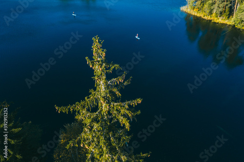 Girls rowing oar on sup board blue lake water paddleboard background of forest.