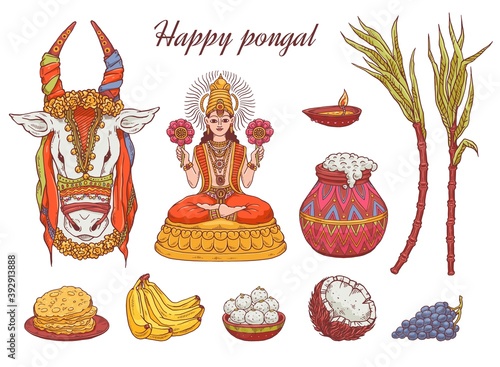 Set of colored vector icons for traditional national indian pongal holiday.