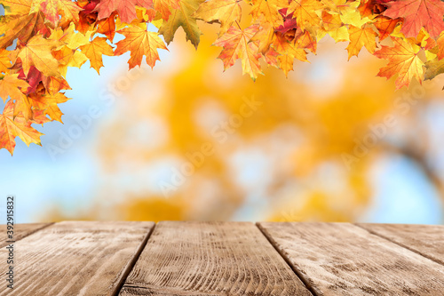 Empty wooden surface and beautiful autumn leaves on blurred background